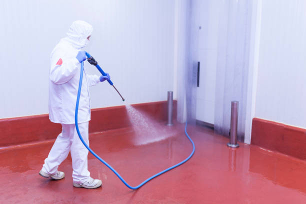 Best Restaurant Pressure Washing  in Nixon, TX