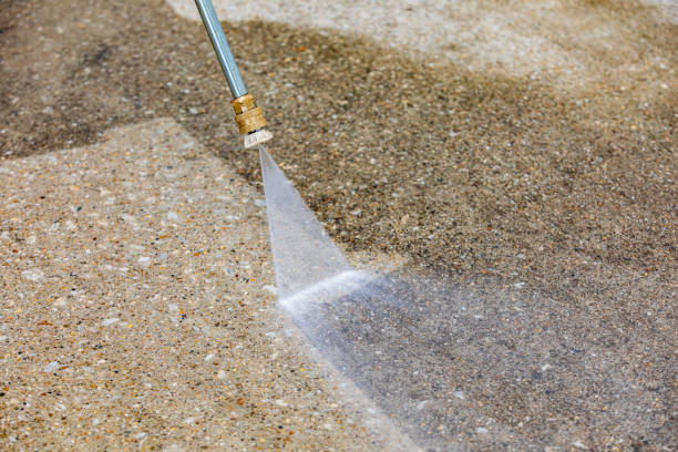 Best Pre-Holiday Cleaning  in Nixon, TX